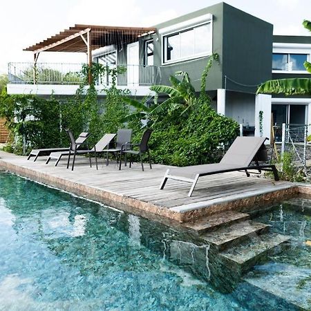 T3 Lumineux Avec Vue Exceptionnelle Et Piscine Oasis De Nature Et Serenite Petit-Canal Exterior photo